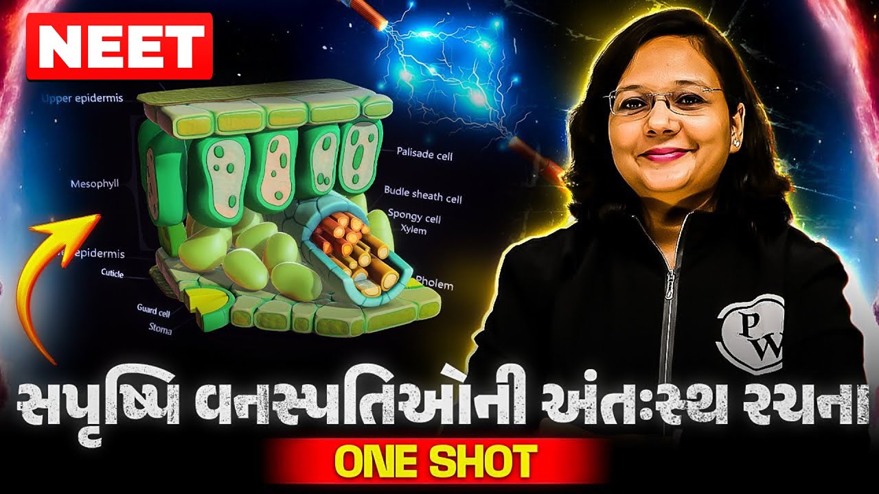 સપૃષ્પિ વનસ્પતિઓની અંતઃસ્થ રચના | Anatomy of Flowering Plants in One Shot | COMPLETE BOTANY | NEET