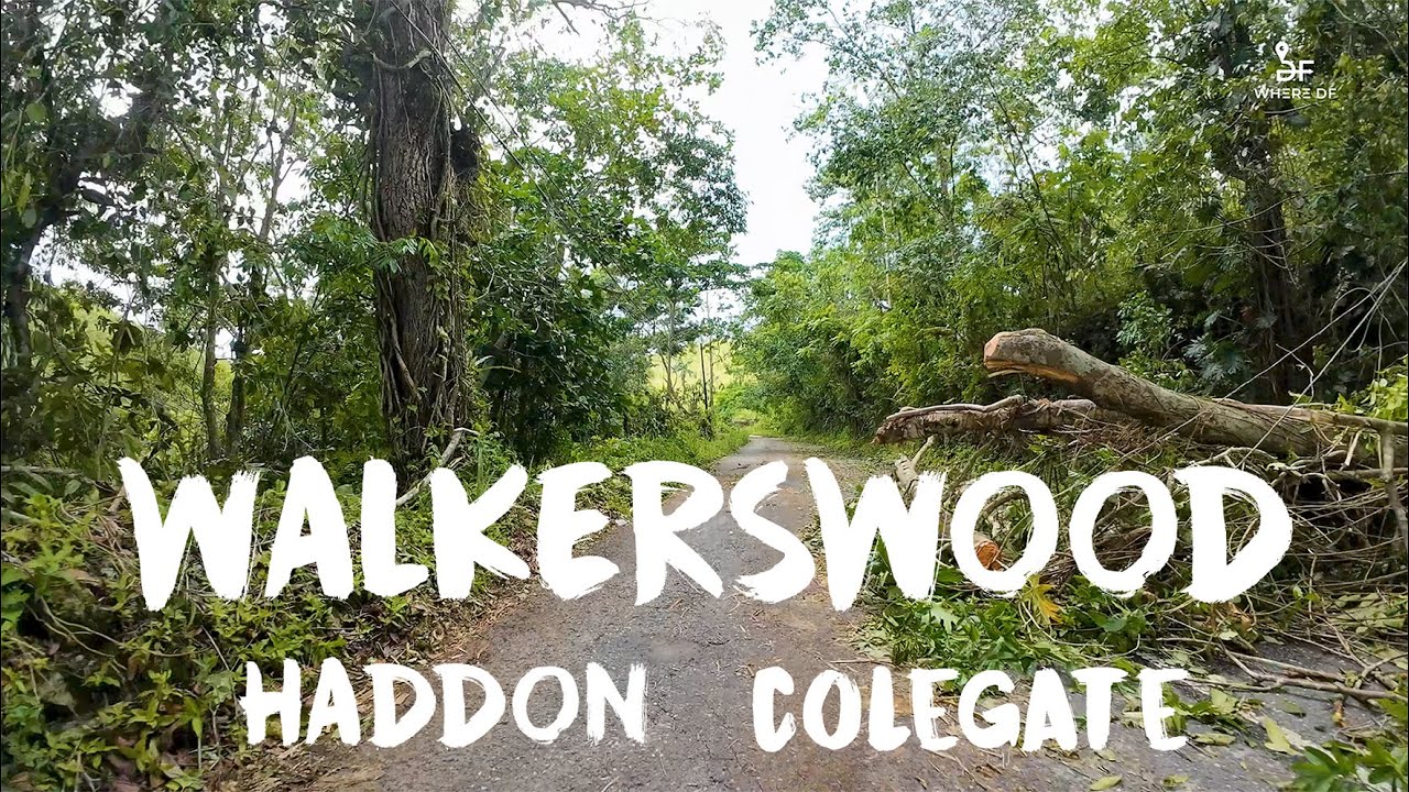 Hurricane Beryl Aftermath - Moneague Walkerswood Colegate | Where DF