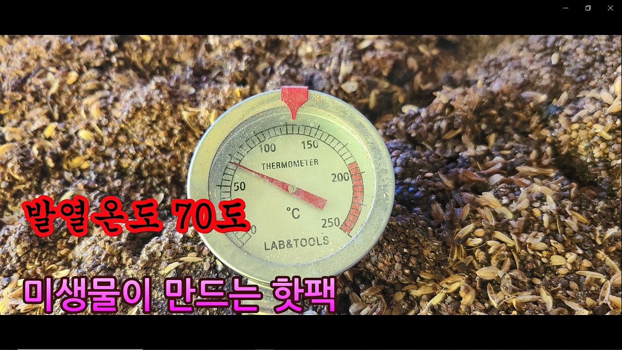 흙은 살아있다 ㅣ흙이 먹는 밥