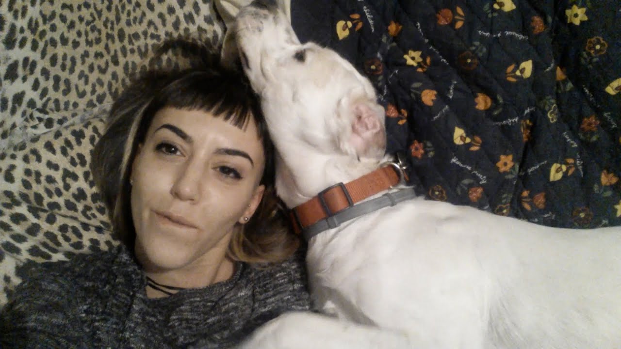 The 8 Best Emotional Support Dogs