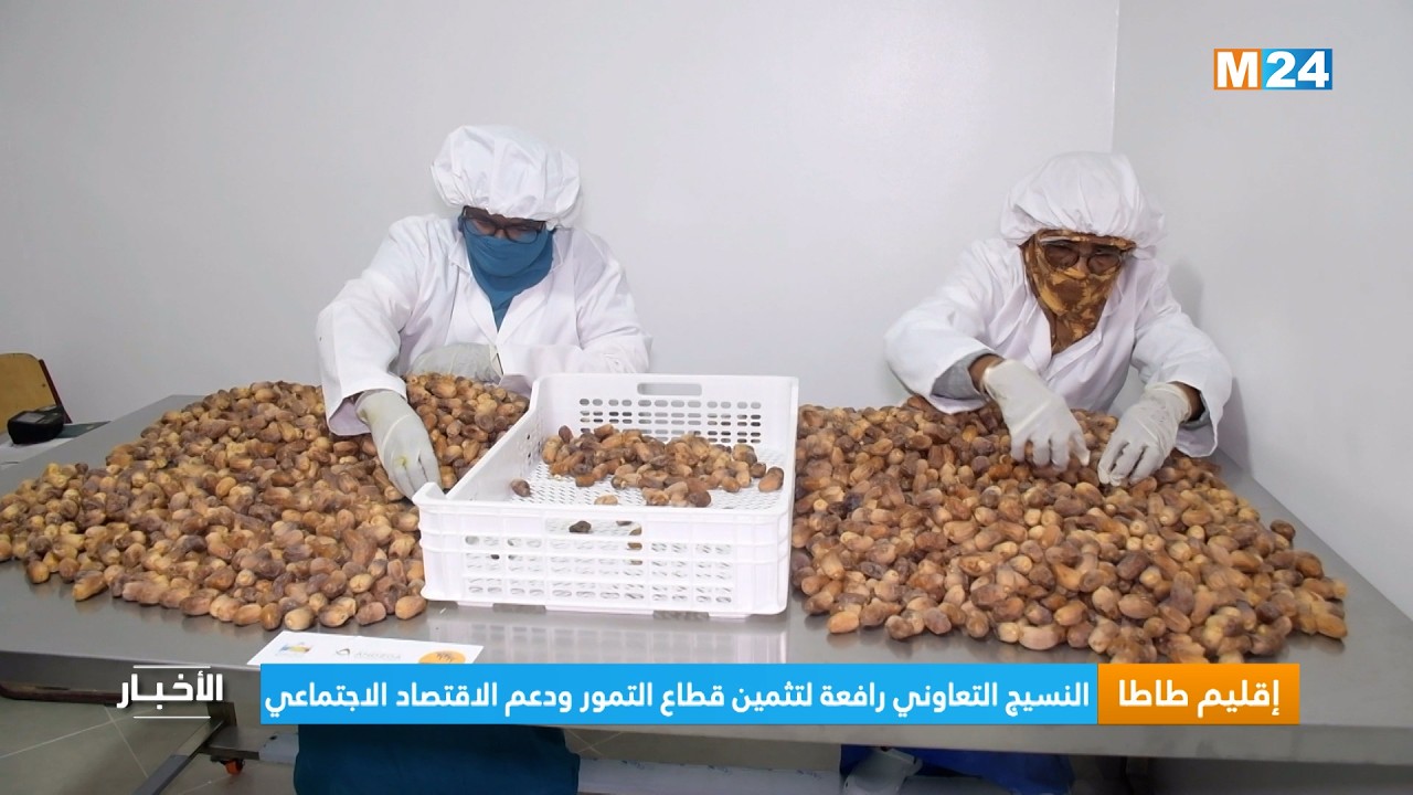 إقليم طاطا.. النسيج التعاوني رافعة لتثمين قطاع التمور ودعم الاقتصاد الاجتماعي