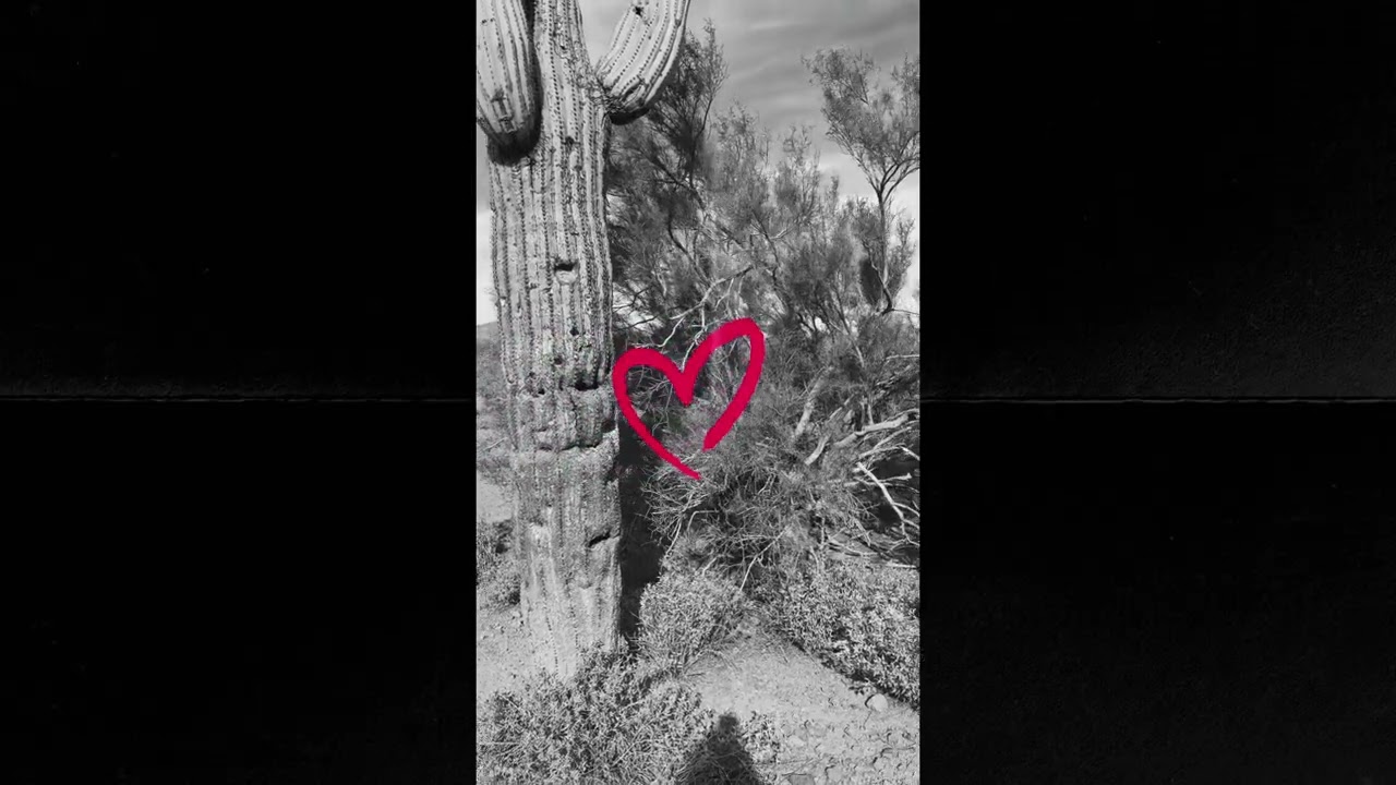 Road-trip to Arizona 