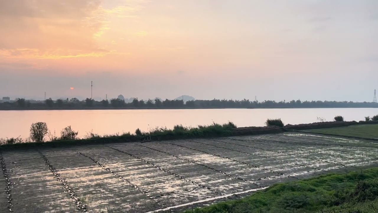 Bờ đê chiều đông muộn 