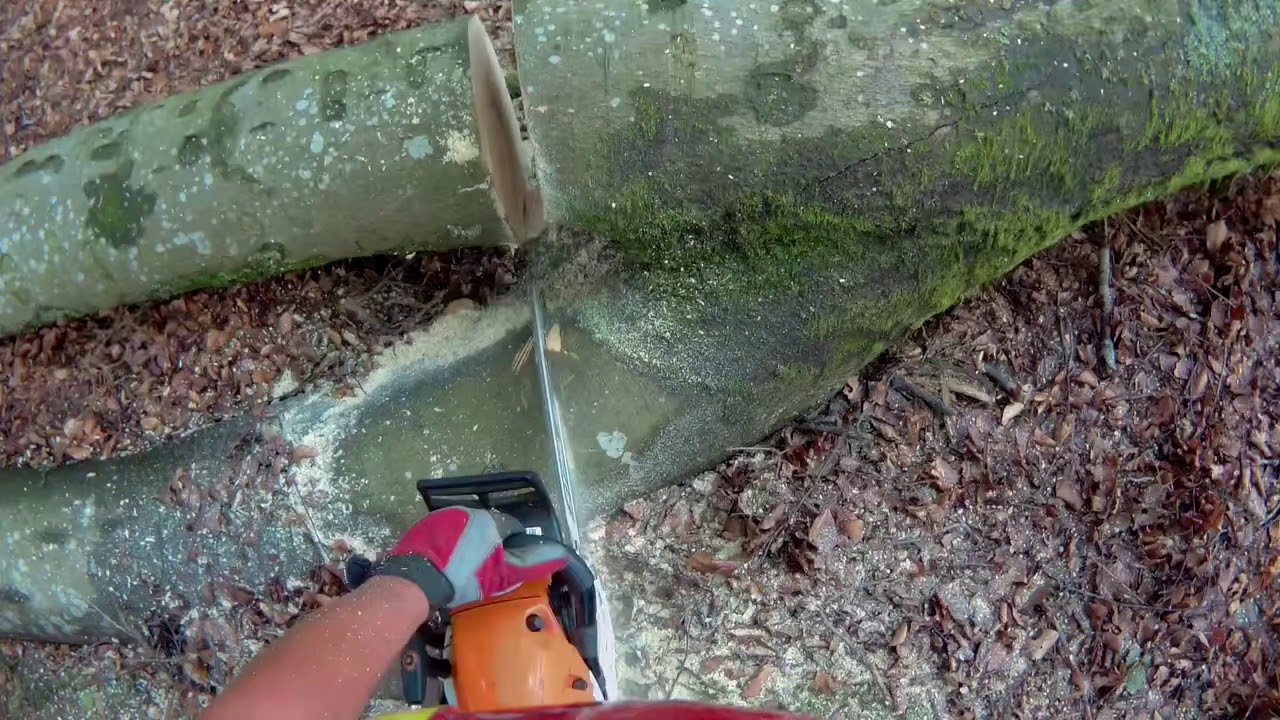 Sturmholz Aufarbeiten und R&uuml;cken