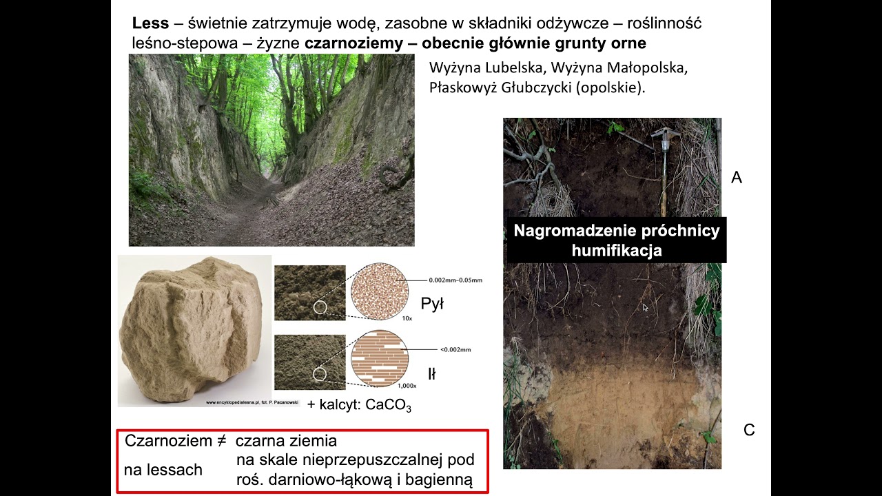 "Geografia - Pedosfera, Biosfera" - Iwona Szumacher