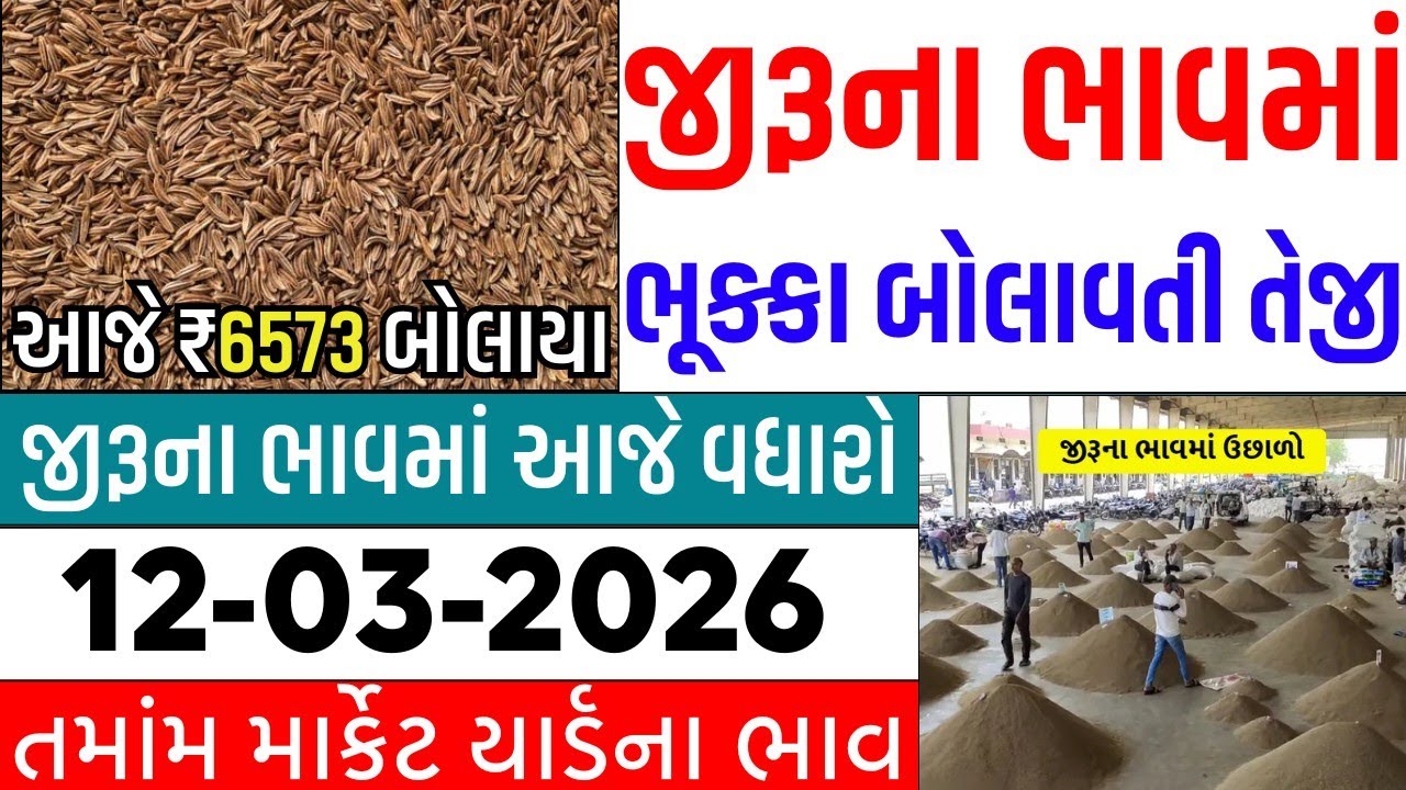 🔥જીરુંના ભાવમાં જોરદાર તેજી 🔥| 12-03-2026 | આજના જીરુંના ભાવ | જીરું નો ભાવ #jeeranabhav#bajarbhav