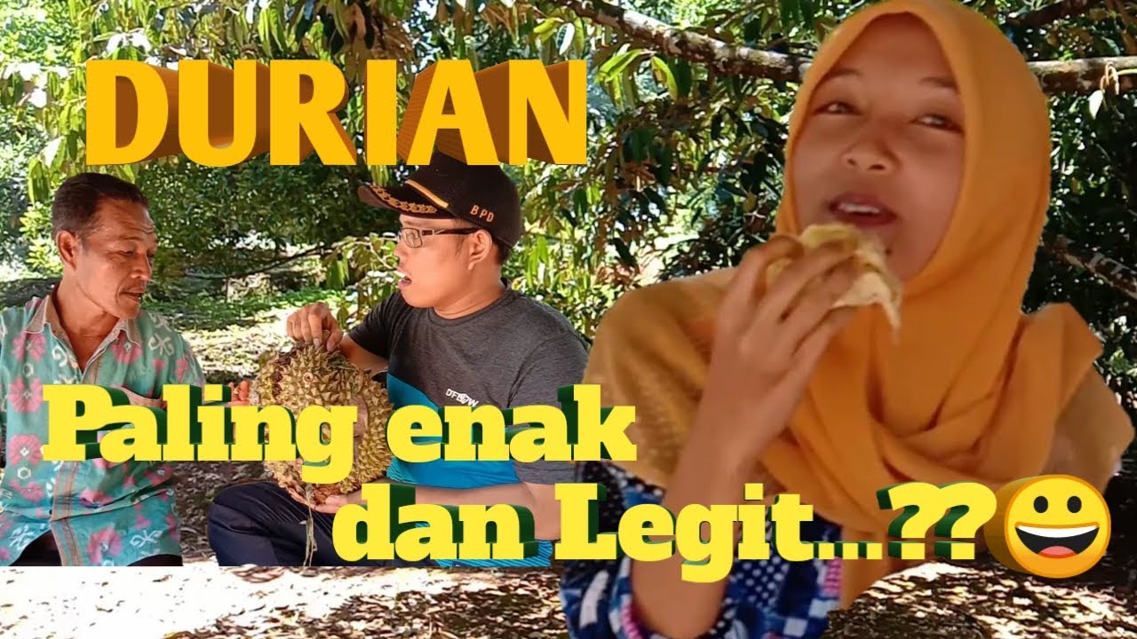 INILAH DURIAN YANG PALING ENAK & LEGIT,👍➡️EDISI JALAN JALAN  DI KEBUN DURIAN MILIK BPK YUSRO