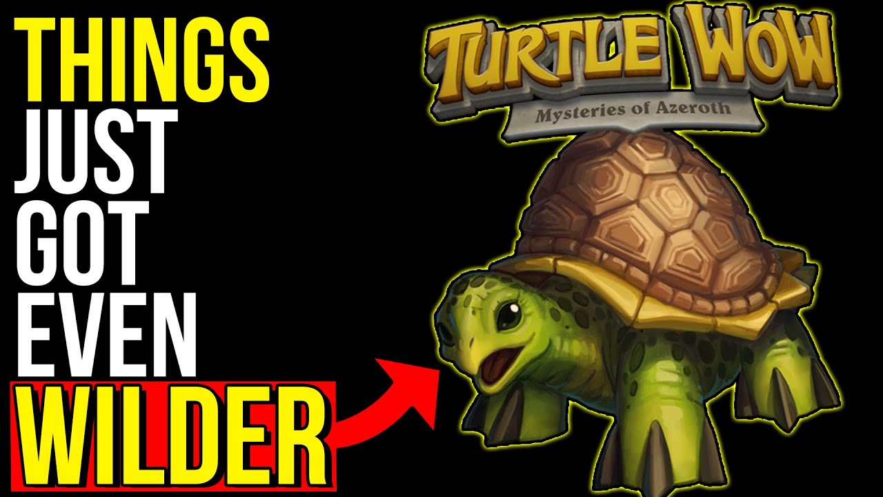 The Turtle WoW & Blizzard Situation Just Got Even Crazier