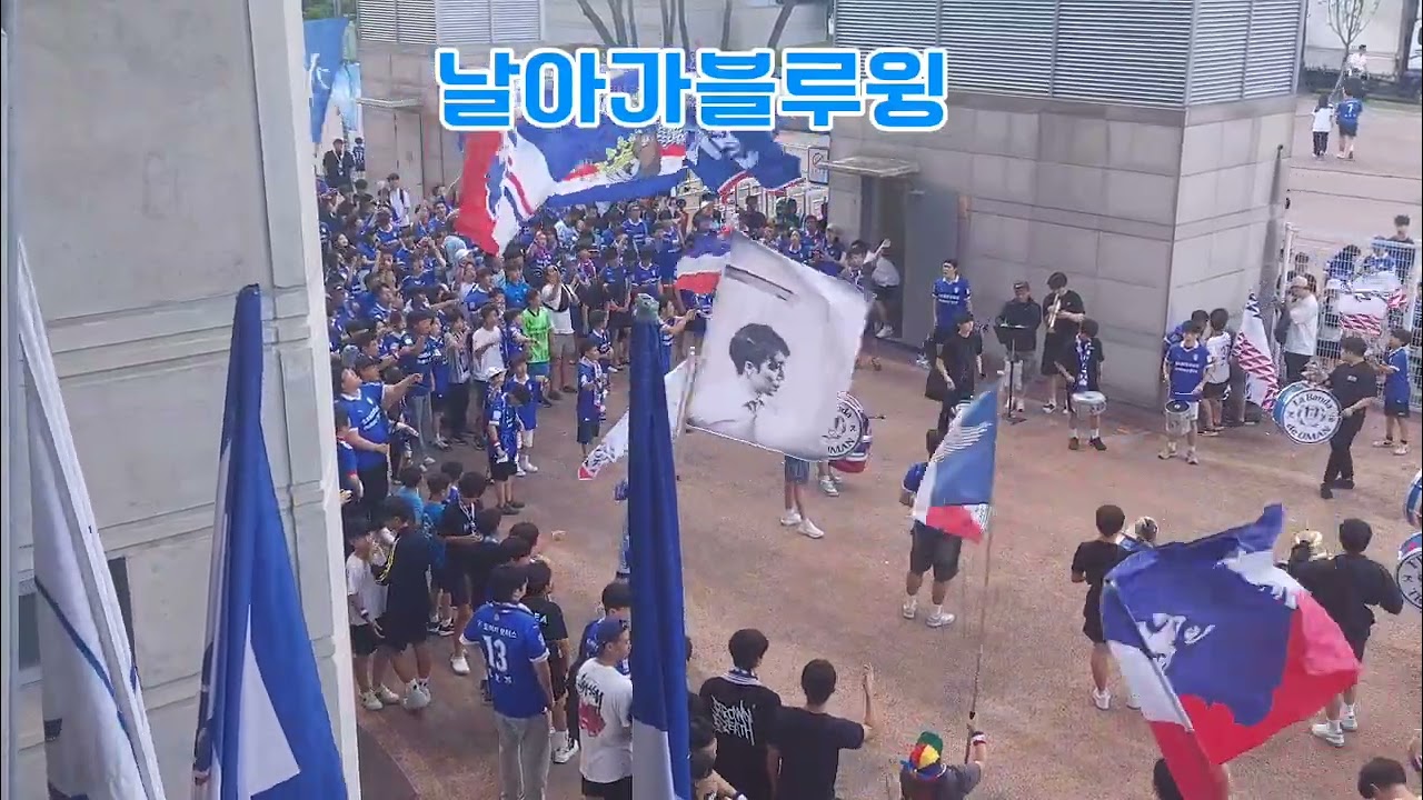 240630 수원삼성 vs 안산 코르테오 #수원삼성 #프렌테트리콜로 #k리그 #football #축구 #코르테오