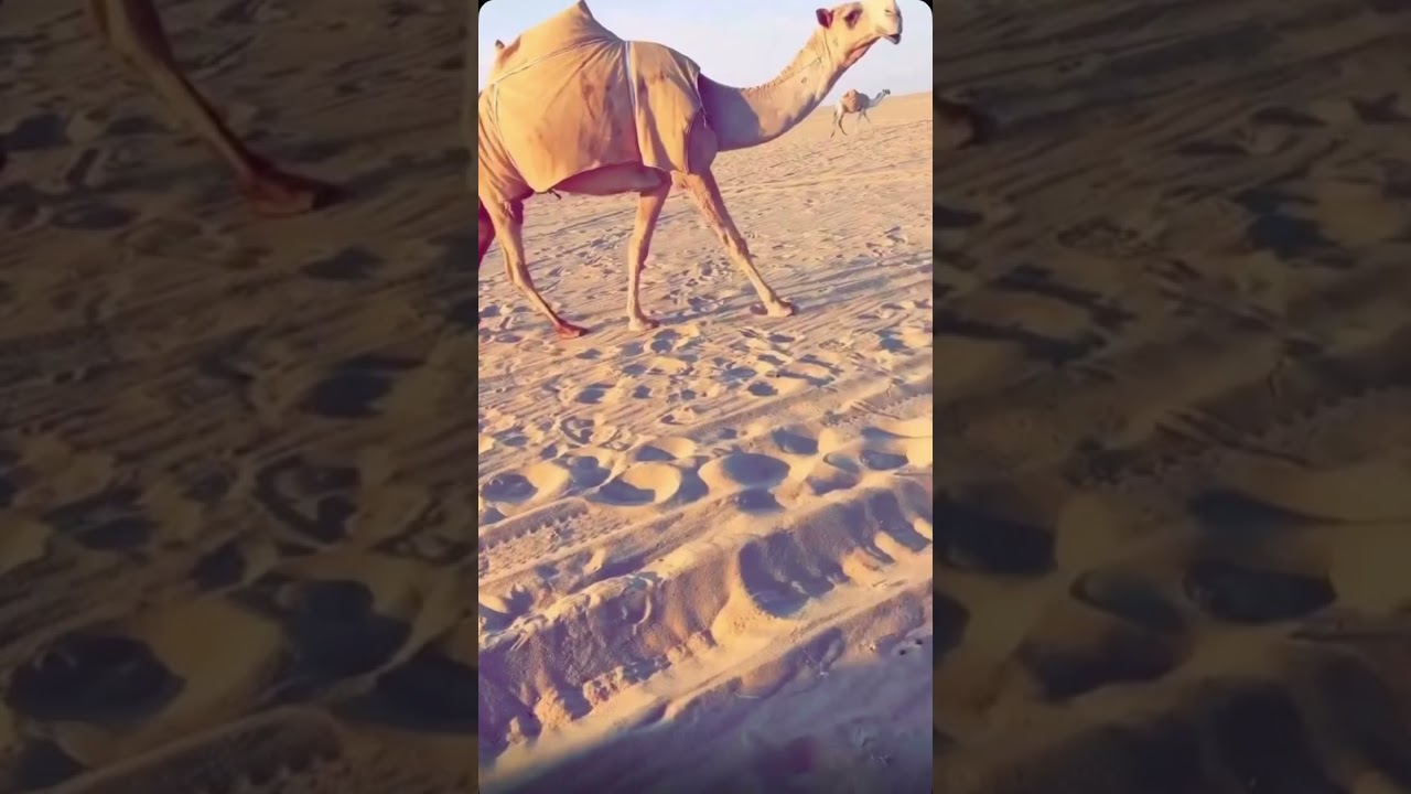 ٣٠ يناير، ٢٠٢٦