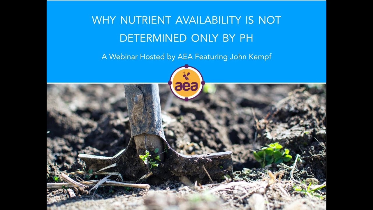 Why Nutrient Availability is Not Determined Only by pH