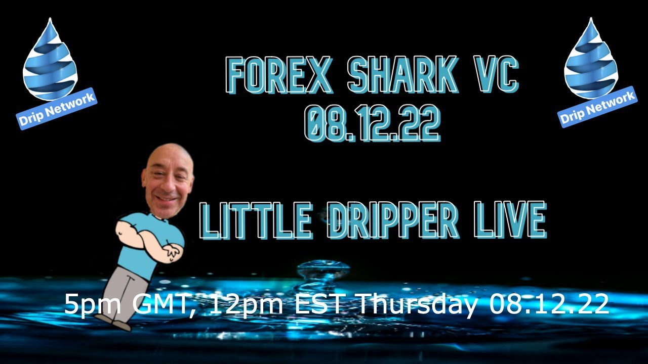 Forex Shark VC 08.12.22. Little Dripper Live