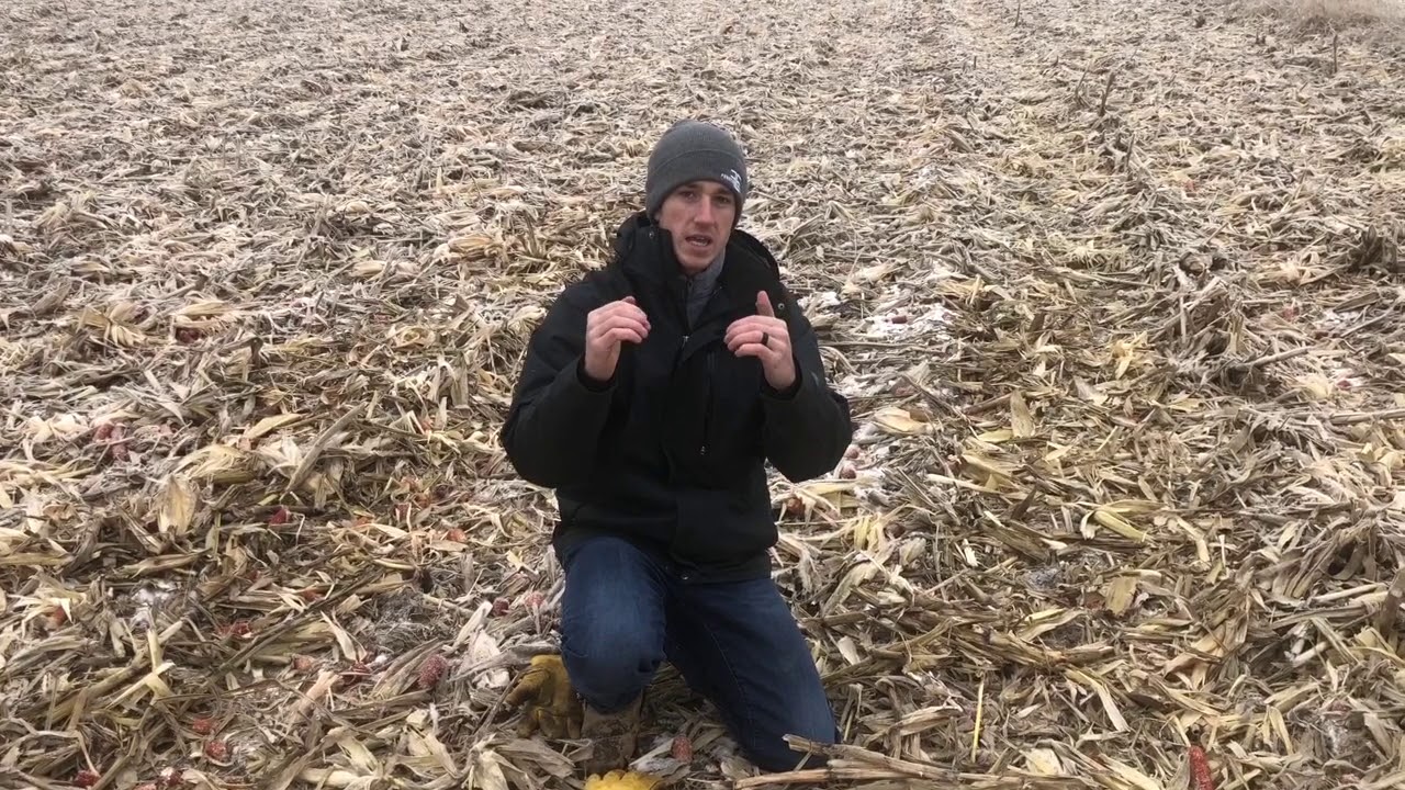 Managing Residue With Your Cornhead