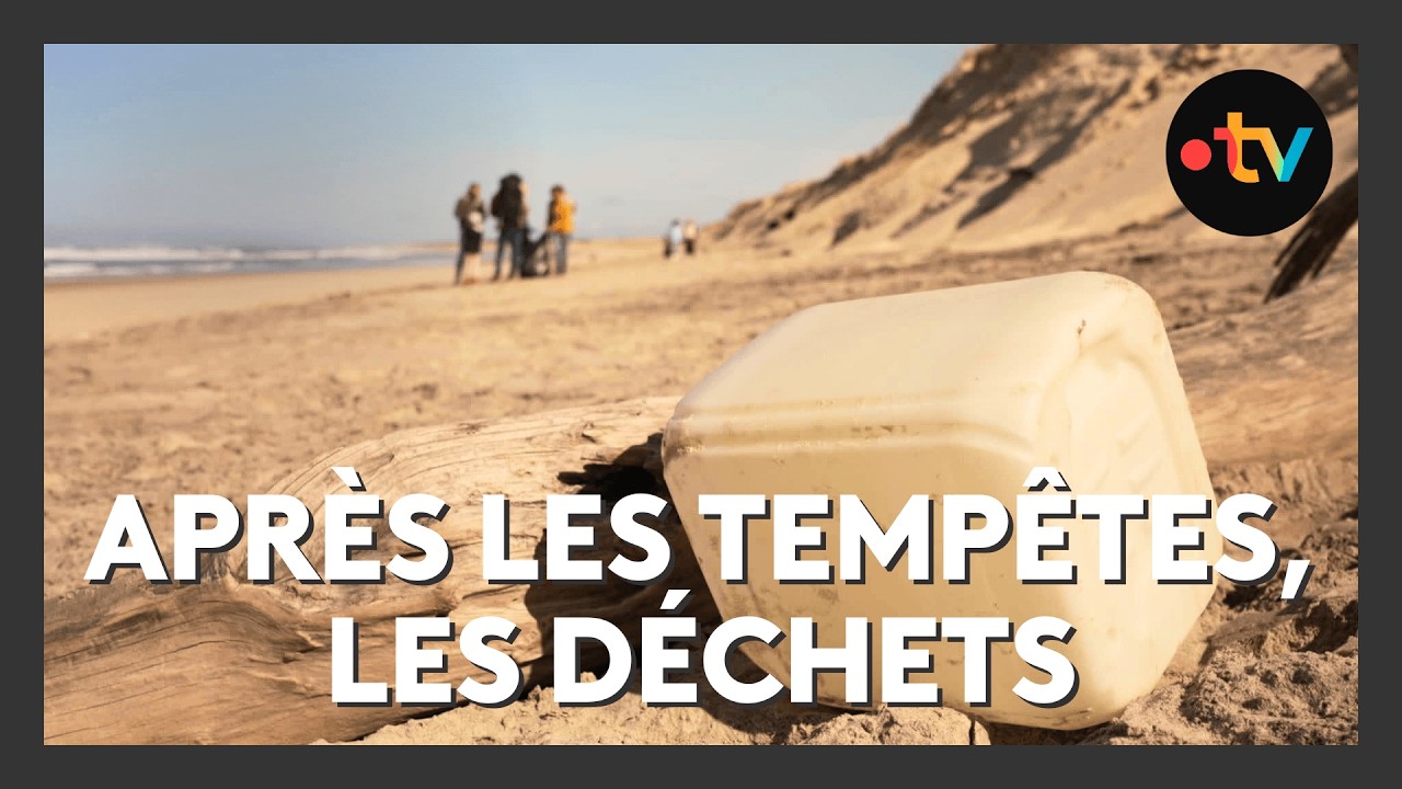 Après les tempêtes, la marée de déchets