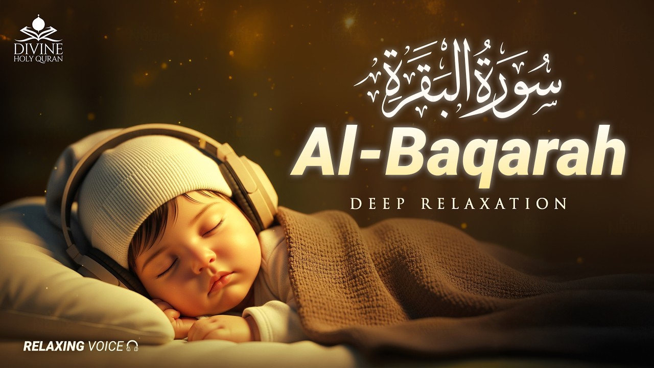Most Beautiful Recitation of Surah Al-Baqarah سورة البقرة | Powerful Protection & Peaceful Sleep
