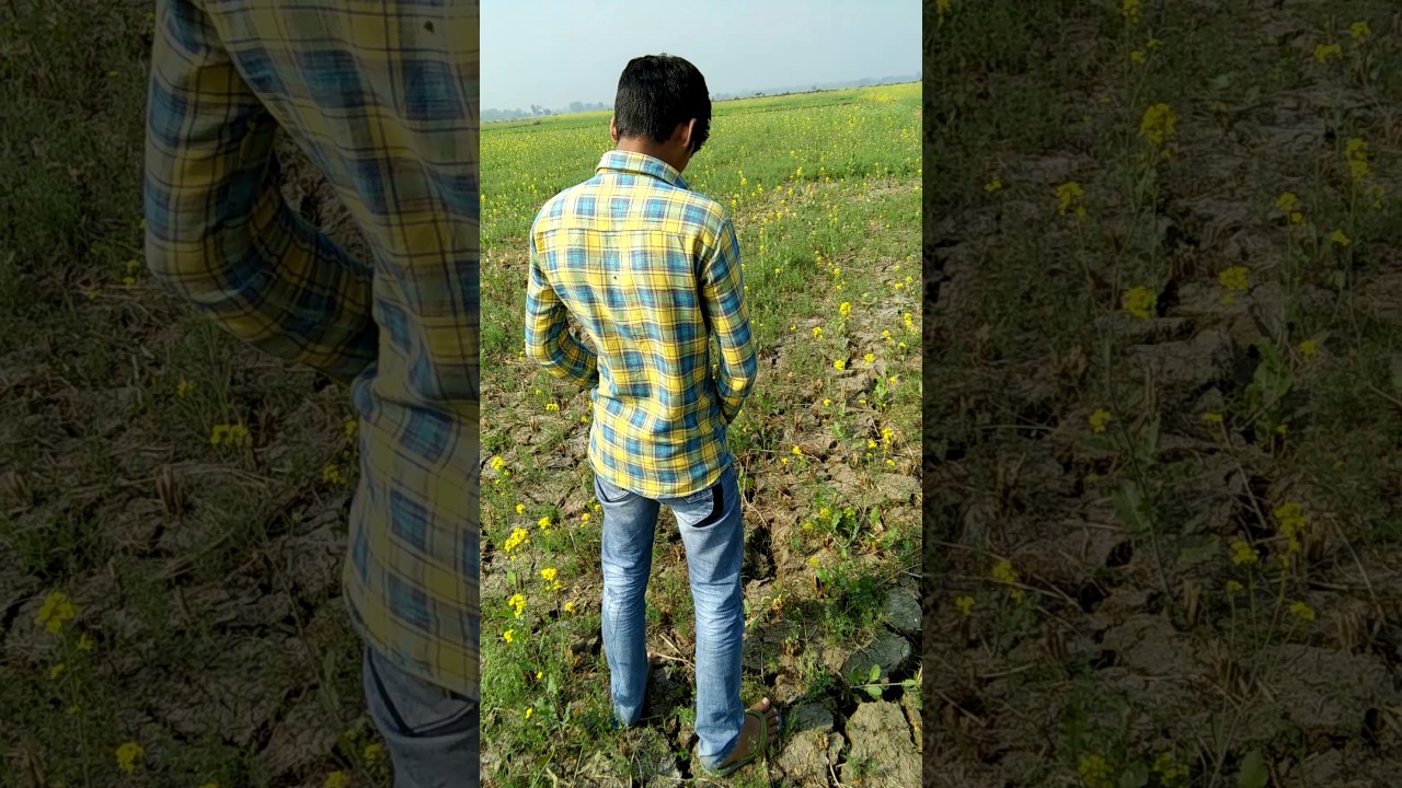 Hasley India