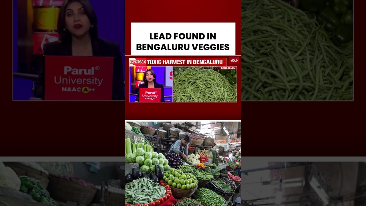 High Levels of Lead Found in Bengaluru Vegetables | Karnata News