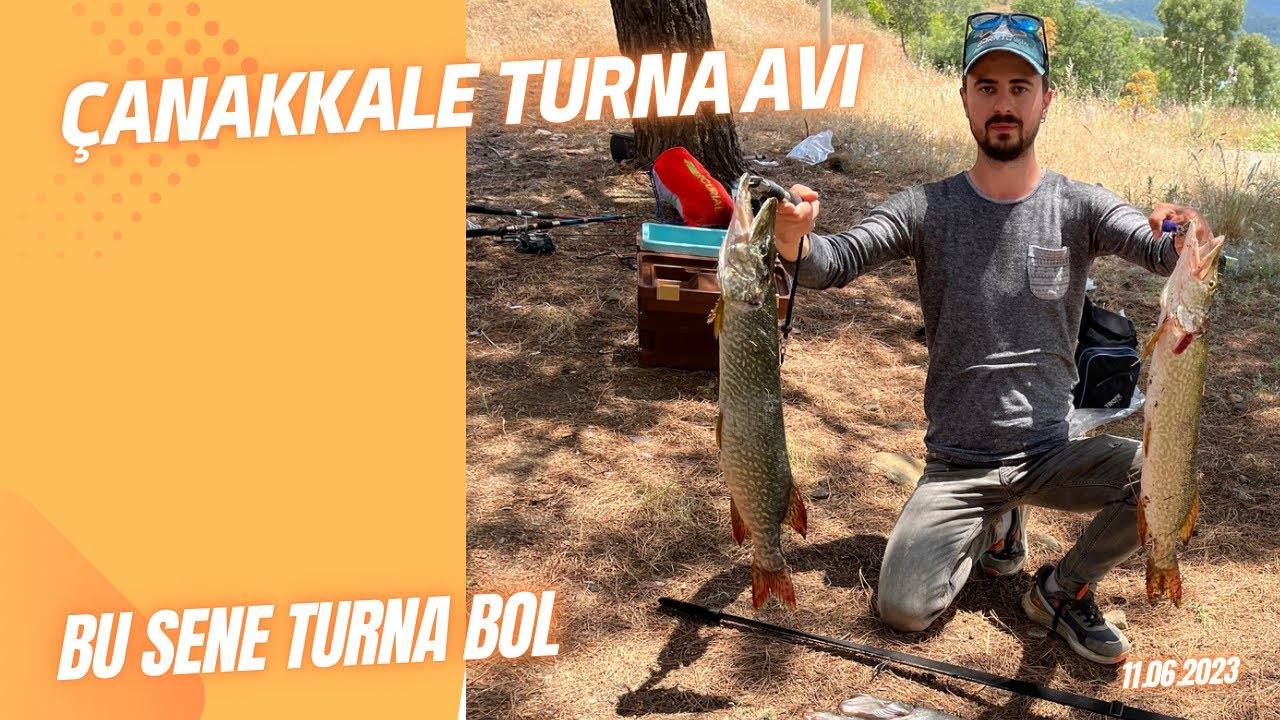 Efsane Turna Balığı Avı - Balığa doyduk / Bursa turnacılar / #balıkavı #fishing #pikefishing #muskie