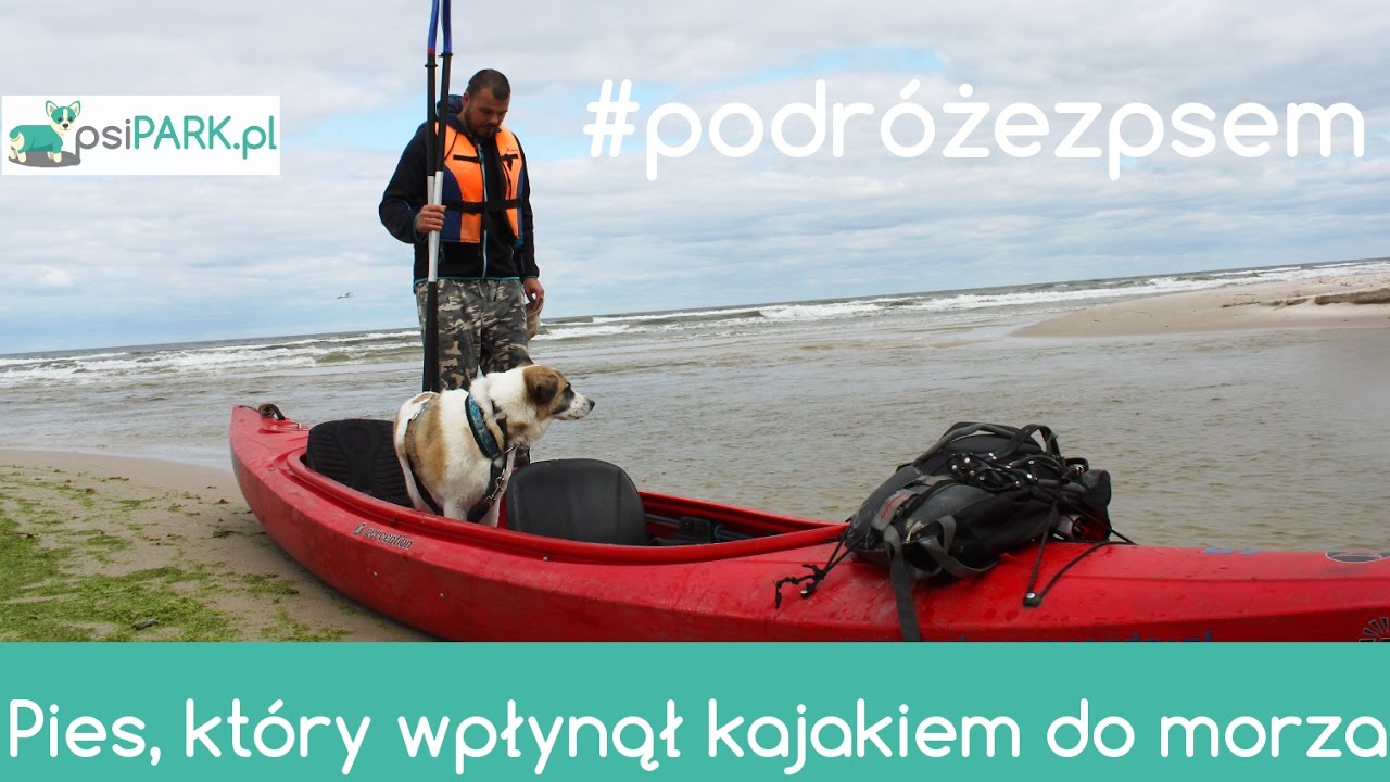 Pies, który wpłynął kajakiem do morza | J. Żarnowieckie - Piaśnica - Bałtyk | Wakacje z psem