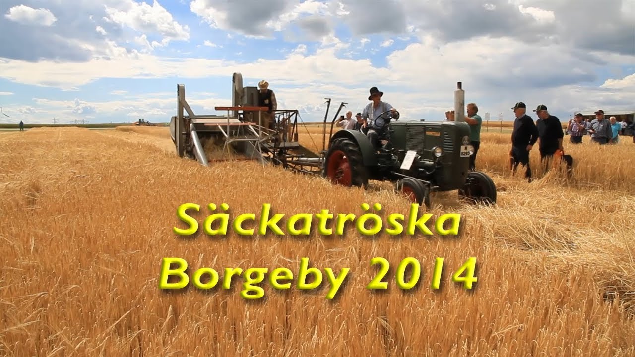 Säckatröska & självbindare Borgeby 2014