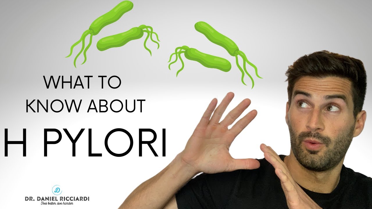 What is H pylori (helicobacter pylori)