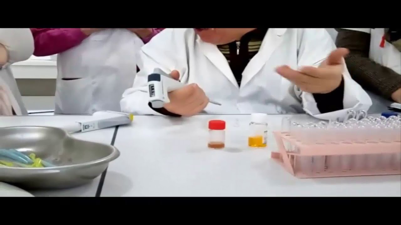 Réaction du TPHA (démonstration  pratique)