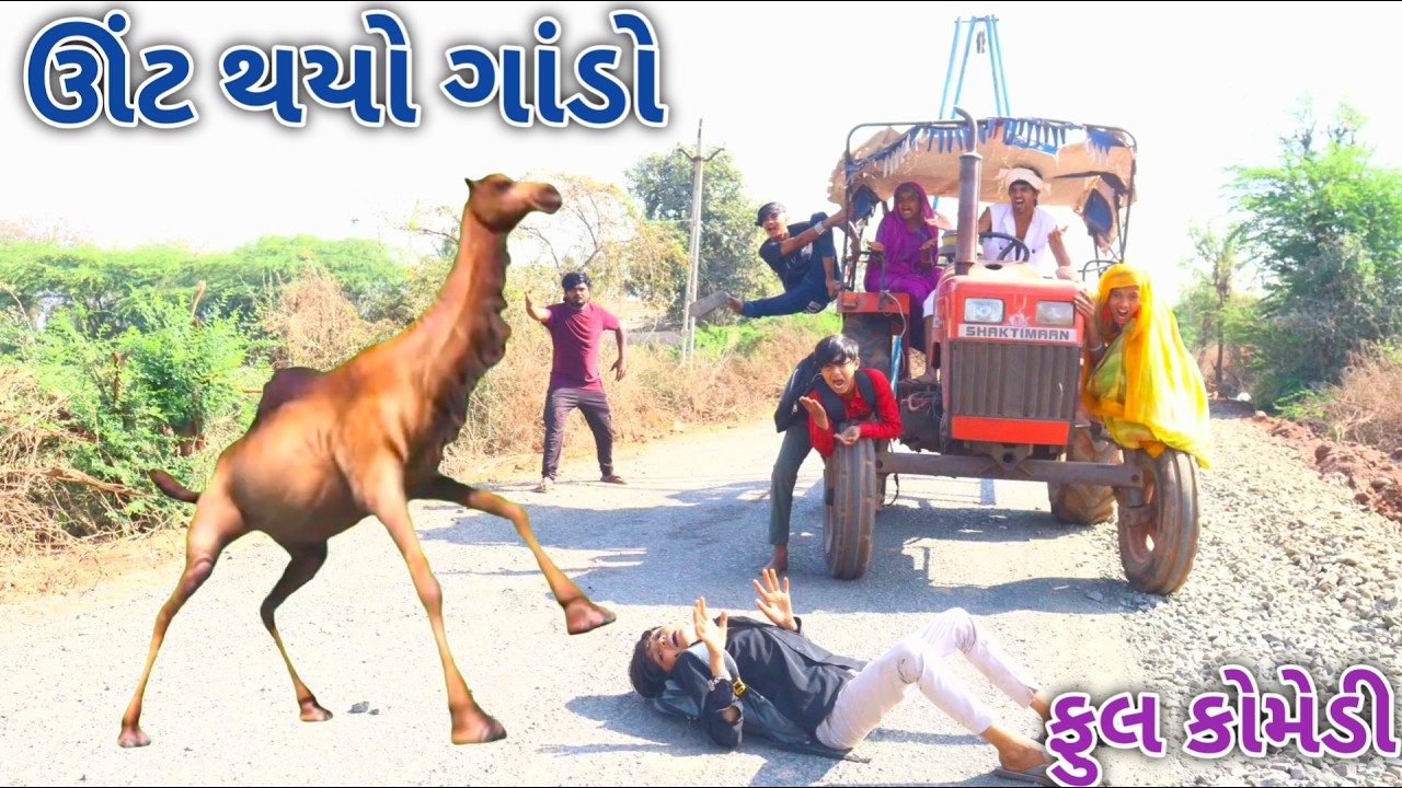 ઊંટ થયો ગાંડો || bebi khilone wale || Gujarati comedy || Full comedy video
