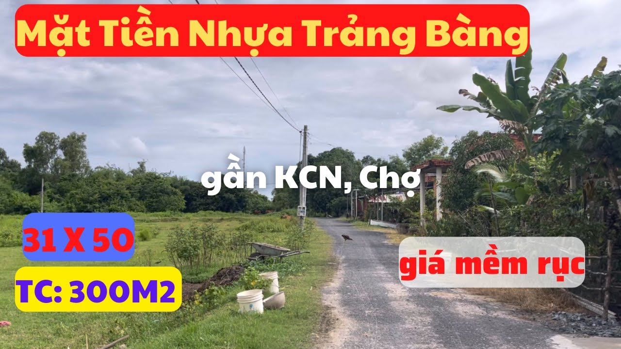 31X50 TC 300 Mặt Tiền Nhựa Trảng B&agrave;ng, T&acirc;y Ninh, gần KCN Chợ, gi&aacute; mềm rục.