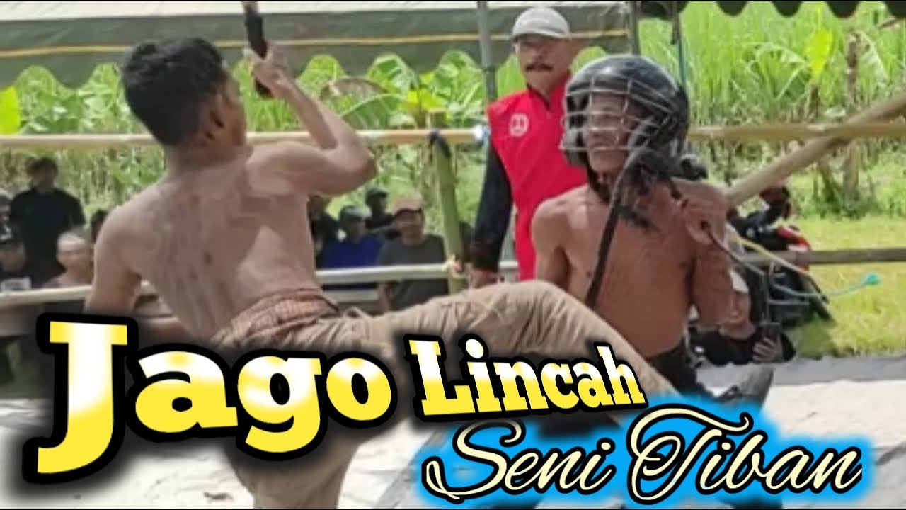 Jago lincah live tiban Babadan karangrejo tulungagung