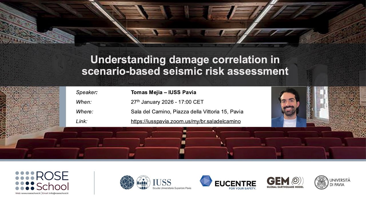 Understanding damage correlation in scenario-based seismic risk assessment