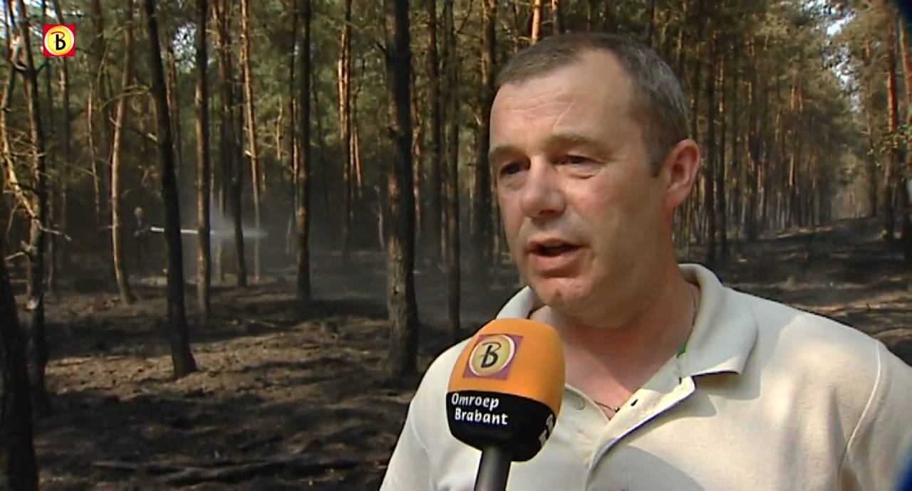 Heidebrand op Strabrechtse Heide: samenvatting