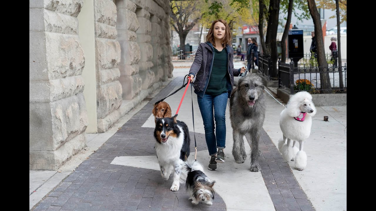 Kathryn Prescott & Henry Lau Interview: A Dog's Journey