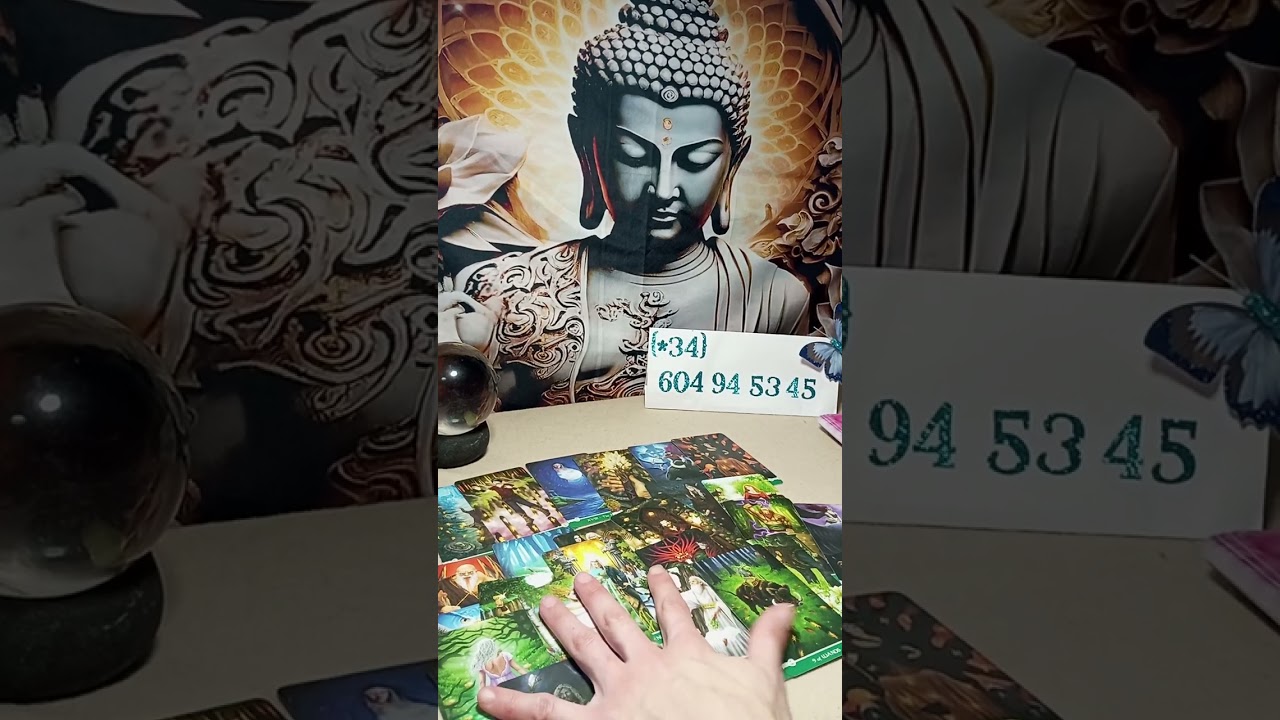 Sufre porque te nota muy distante! #contactocero #amor #tendencia #tarotonline #tarotcards #parati