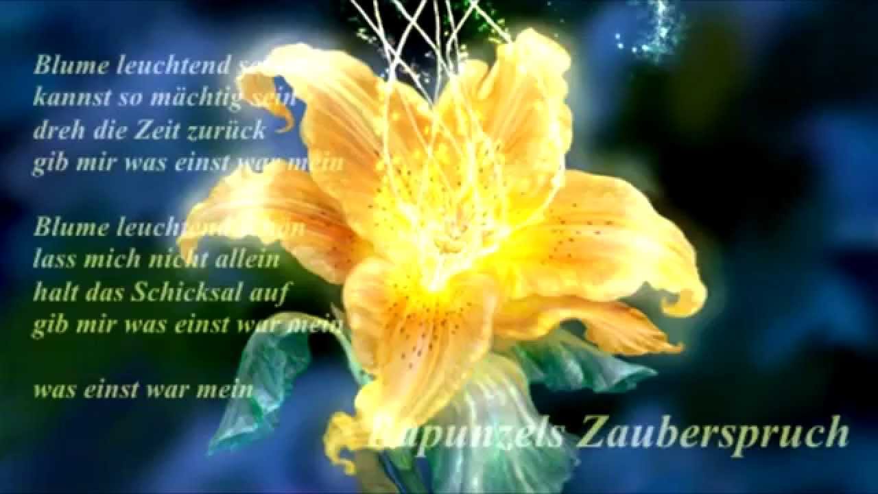 Rapunzels Zauberspruch [Cover~]