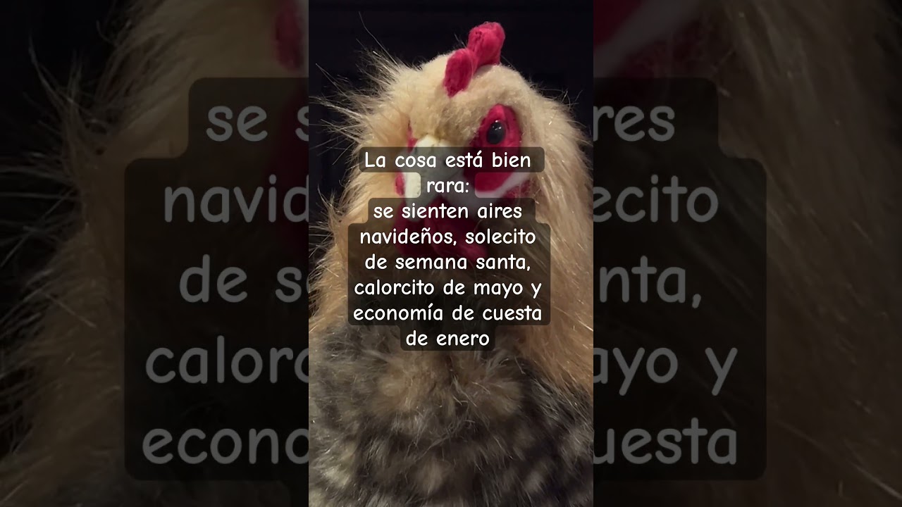 #videonuevo #humor #memesespanol #subscribanse #funnymemes #youtube