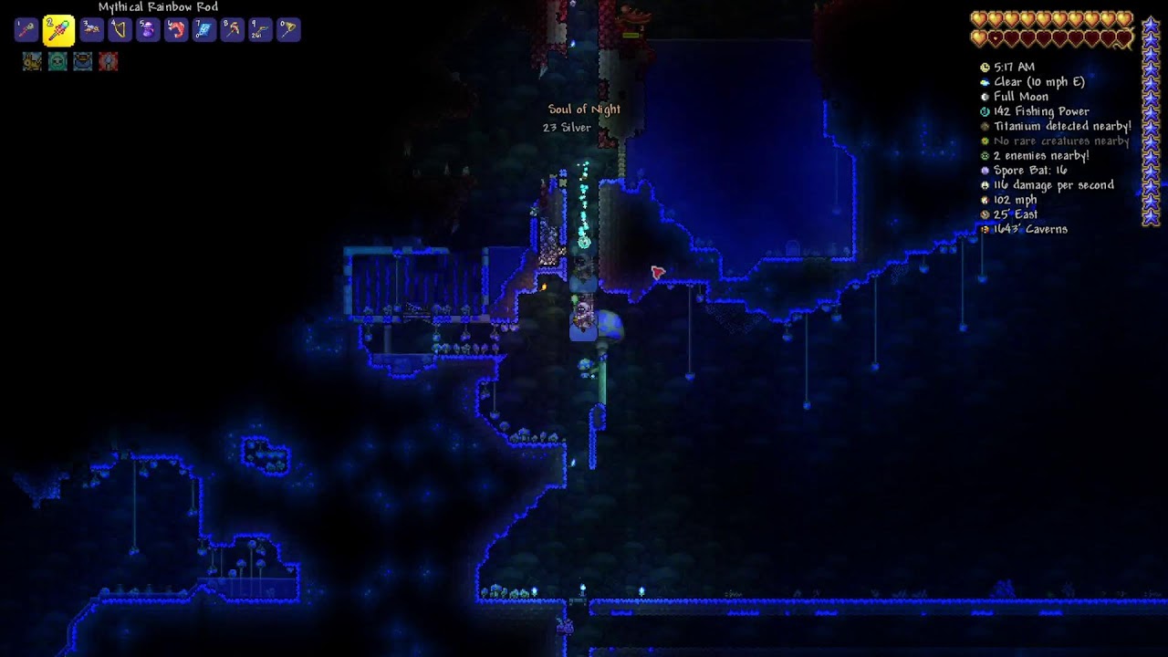 Terrarian fever
