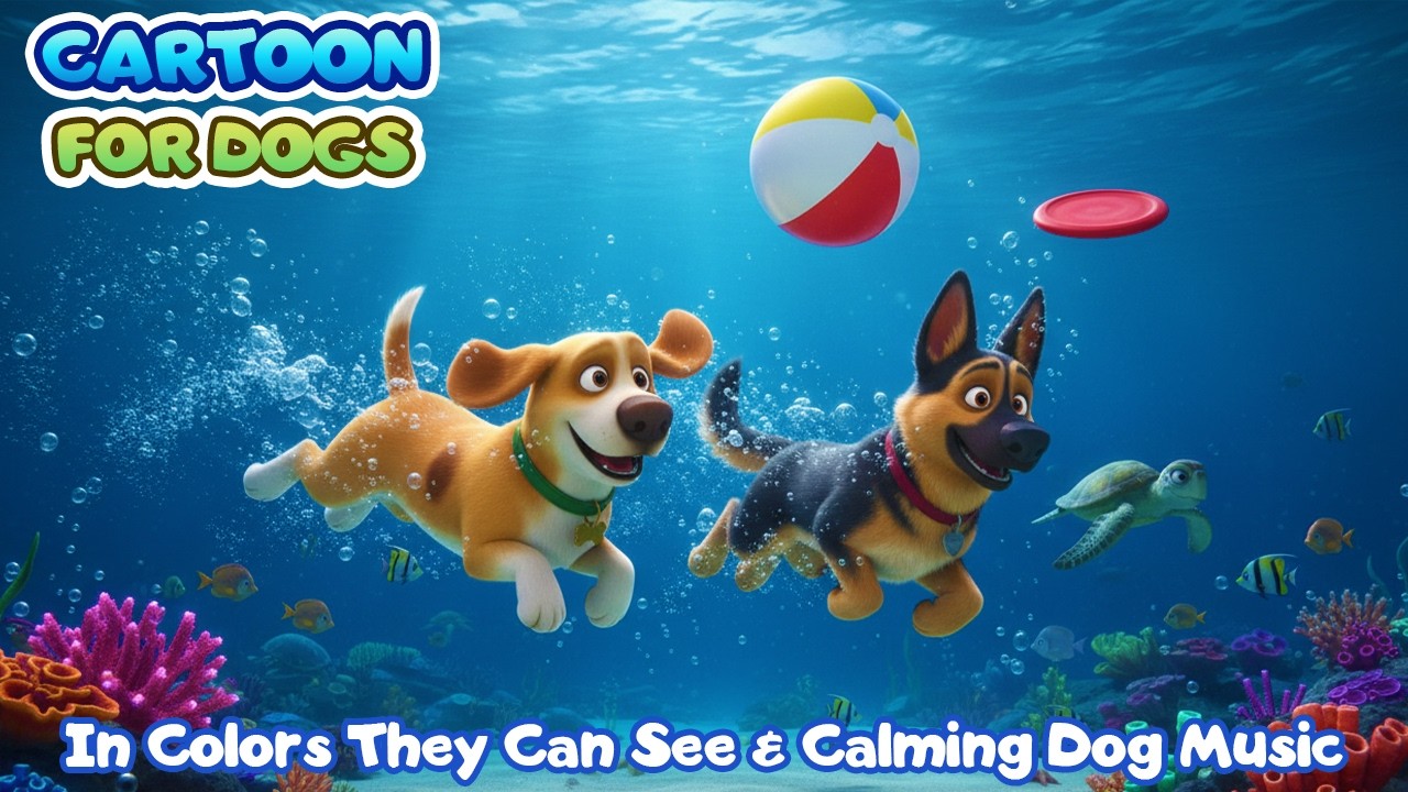24 часа мультфильмов для собак 🐶🌊 в цветах для собак 🎨 Смешные видео для собак в одиночестве
