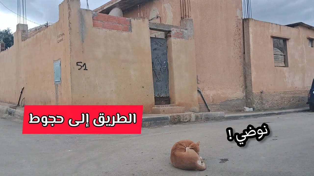 الطريق إلى حجوط عبر سيدي راشد الجزائر 2025 sidi rached hadjout tipaza Algeria