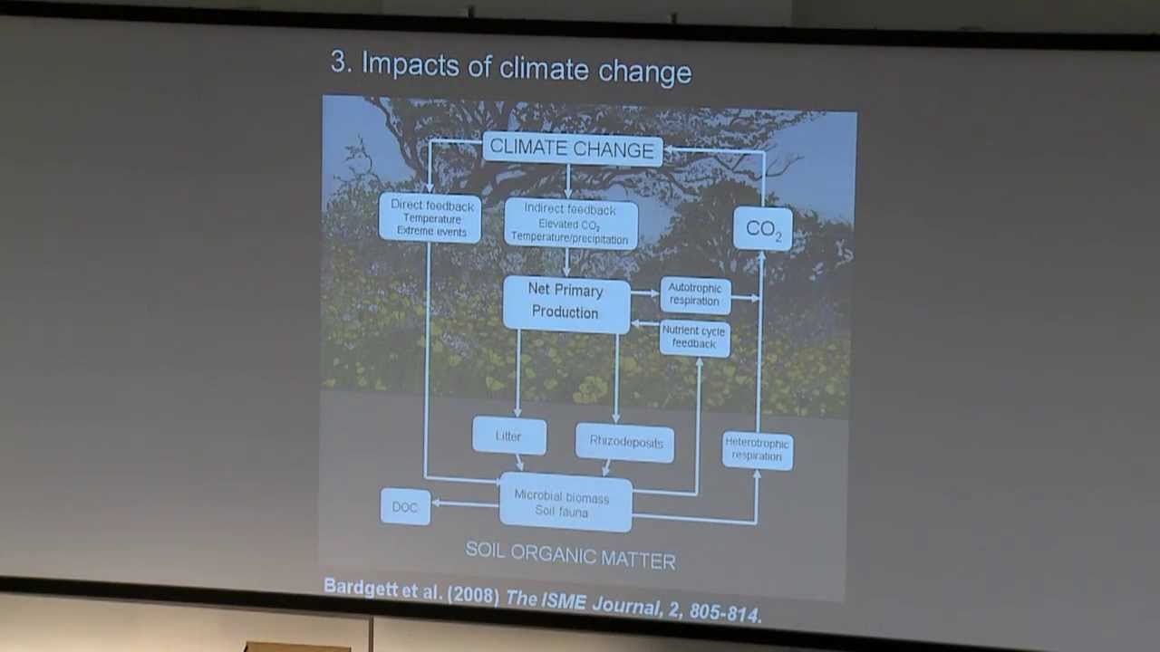 RICHARD BARDGETT. Plant-Microbial-Soil Interaction in a Changing World.