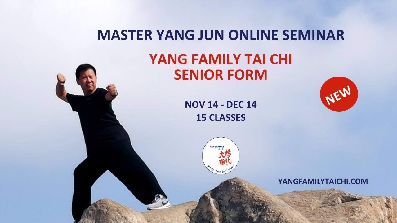 Master Yang Jun Online Seminar - YFTC Senior Form