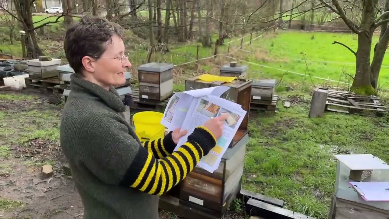 Live von Pias Bienenstand - 26.03.2023