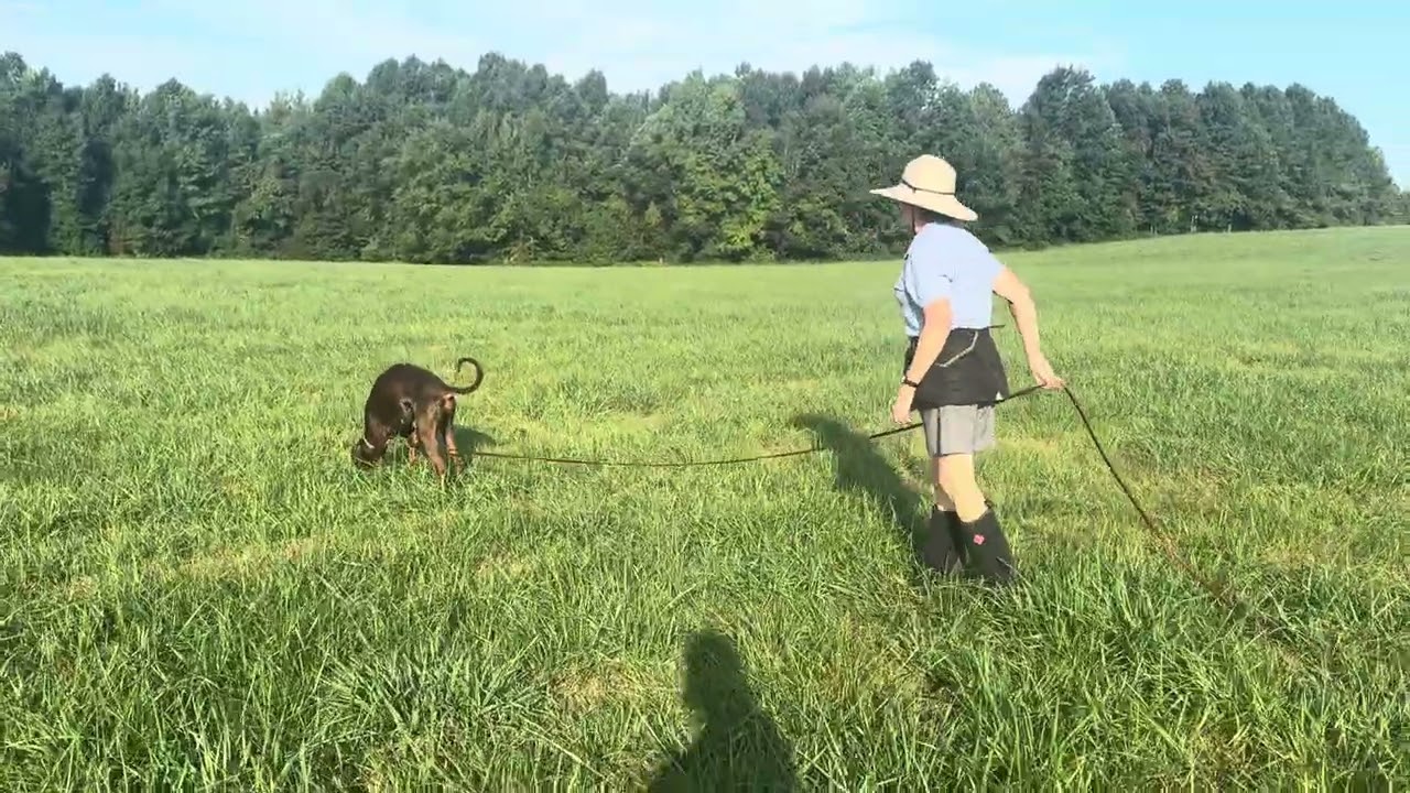 Deka-tracking-8/23/2025