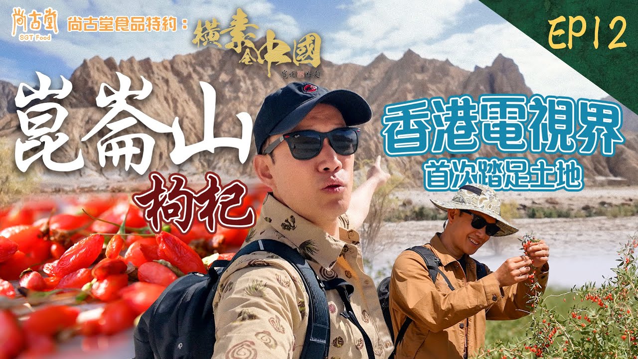 橫素全中國｜香港電視界首次到達土地——崑崙山腳 高海拔環境 如何種植有機枸杞？ ｜尚古堂食品 特約：橫素全中國 ｜ EP12｜ 敖嘉年 ｜ HOY TV