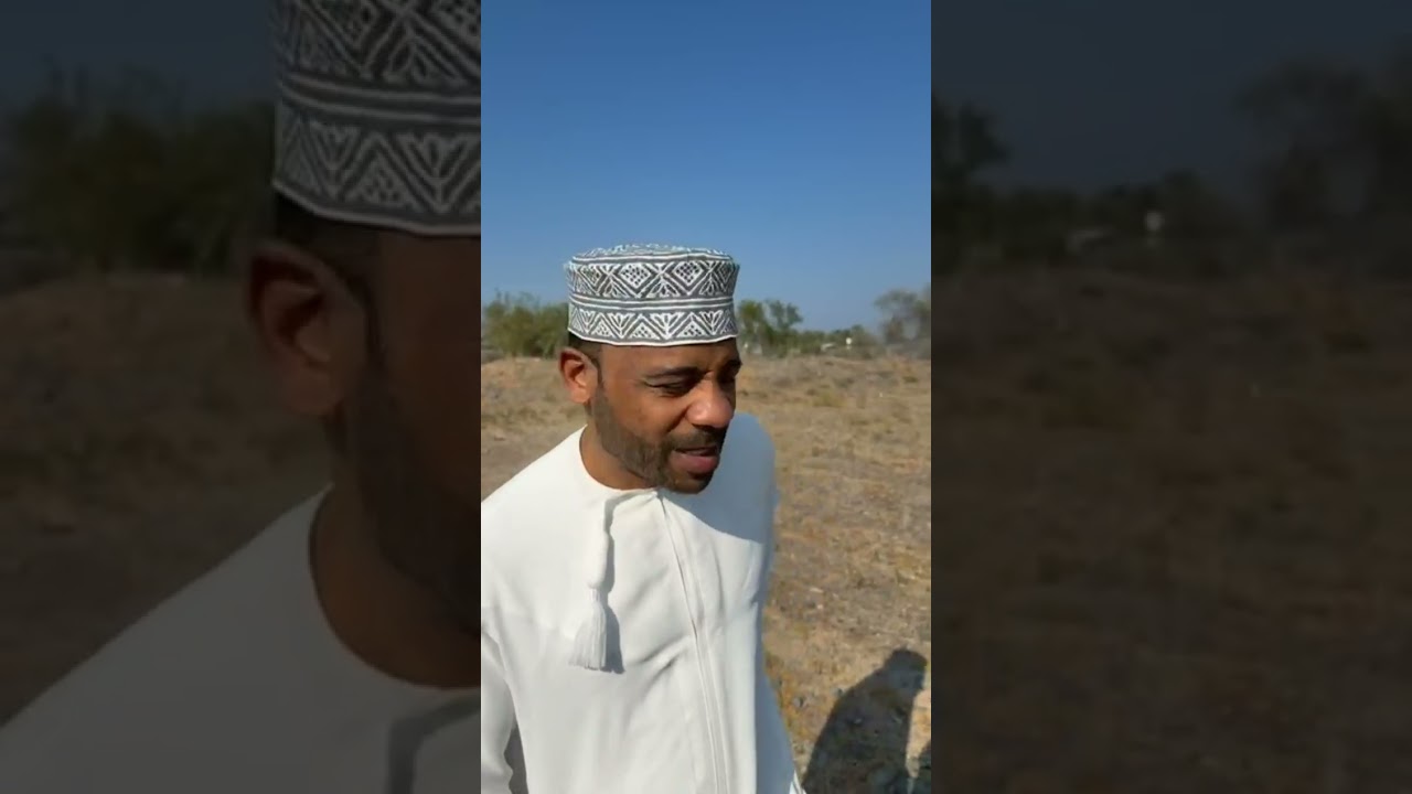 الشيبه بيروح عنا 