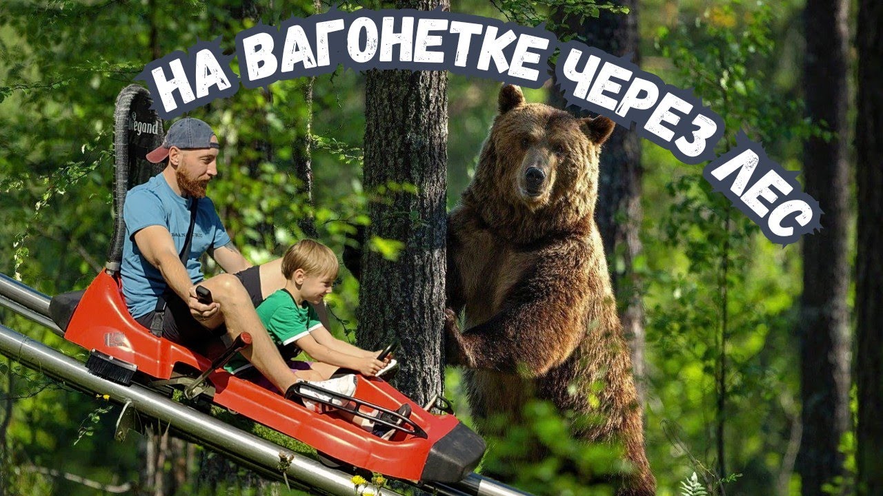 Тобоган в Яхроме. Летнее развлечение на зимнем курорте.