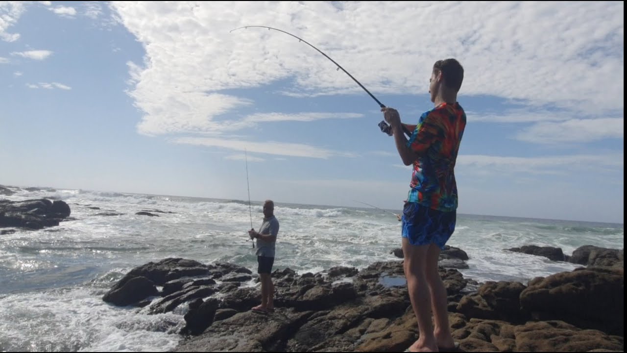 Reef fish are back, Shad bay as always