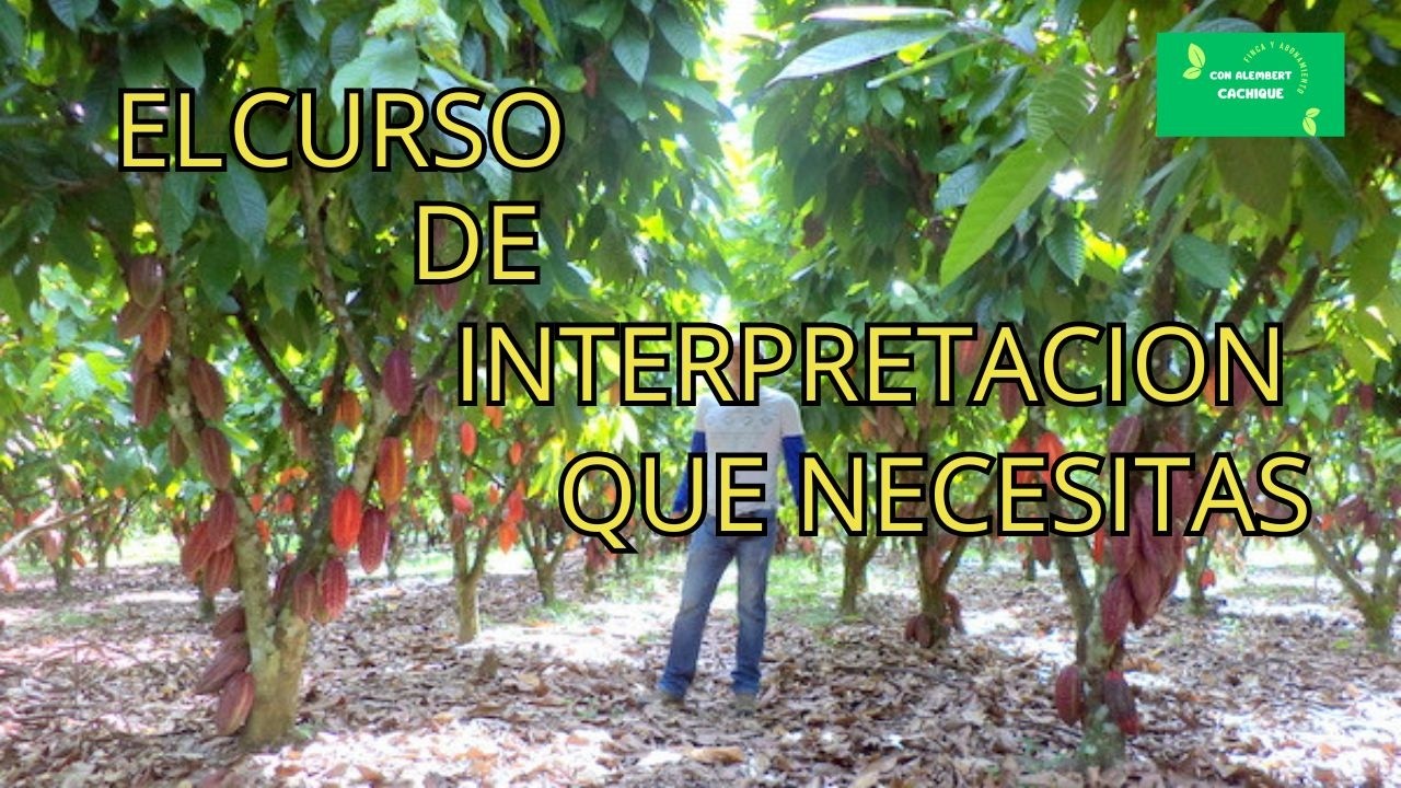 Curso Manejo Agronómico del Cacao | Aprende a calcular fertilización con Excel