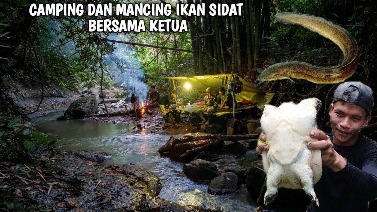 Bermalam di hutan dan mancing ikan sidat bersama ketua, streak labi labi 1 kg | Kang kumang
