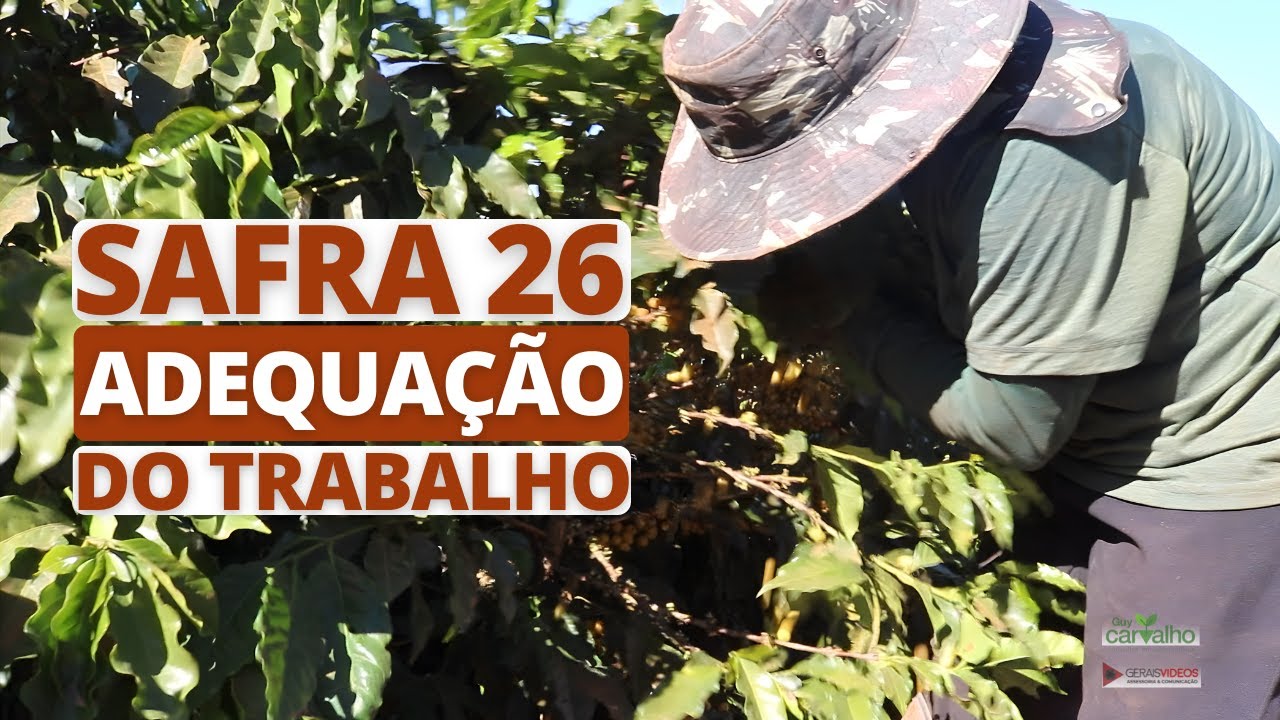 Safra 26, adequação do trabalho.