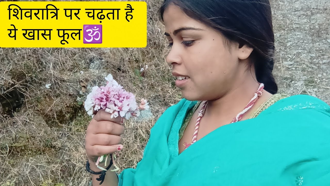 शिवरात्रि पर चढ़ता है ये खास फूल! 